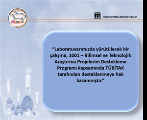 Bakterileri Sesle Yok Edecek Nanomalzeme Projesi TÜBİTAK 1001 Desteği Aldı